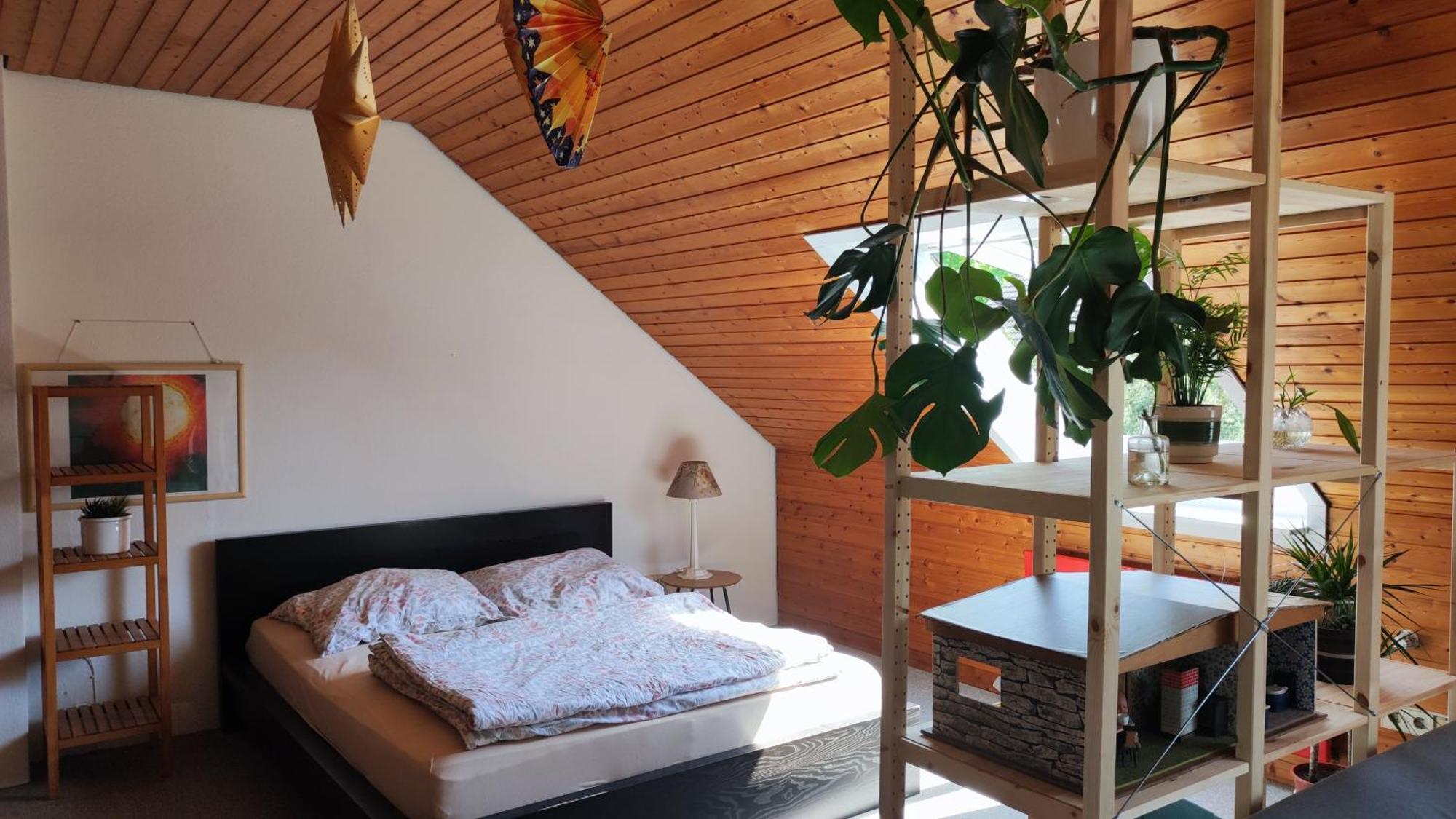 Big Cozy Entire Family Appartment Hannover Exterior foto